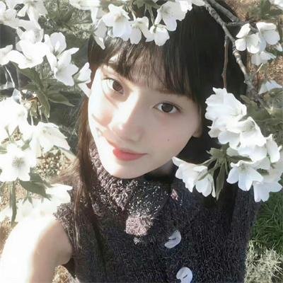 十三个原因第四季